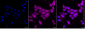 KD-Validated Anti-STAT3 Mouse Monoclonal Antibody